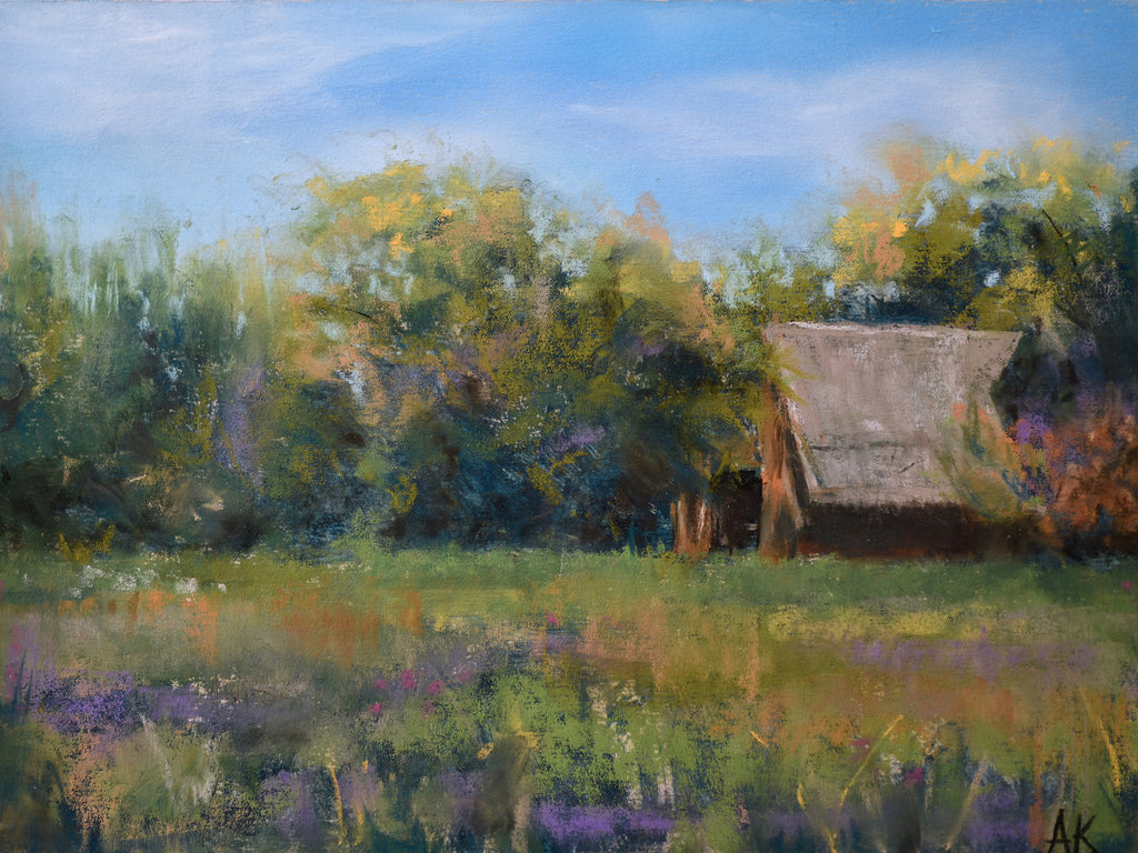 Hwy 550 Barn