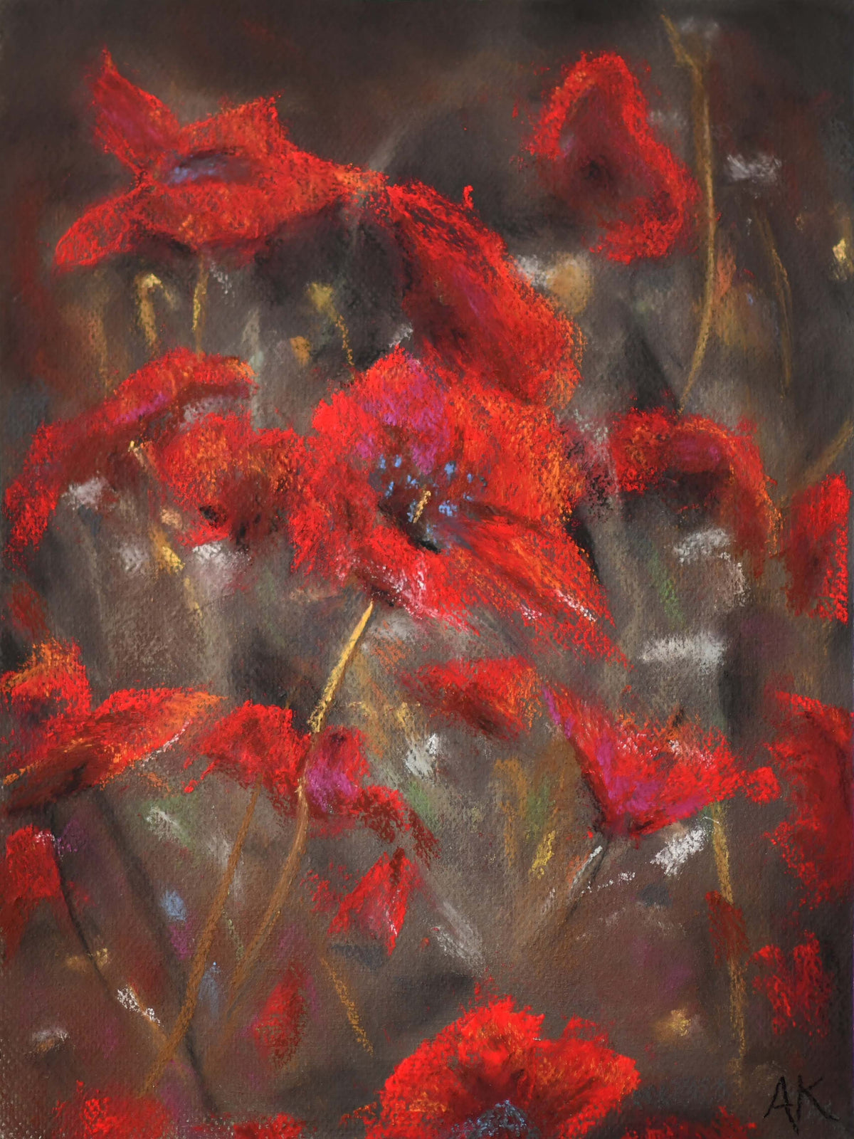 Red Poppies