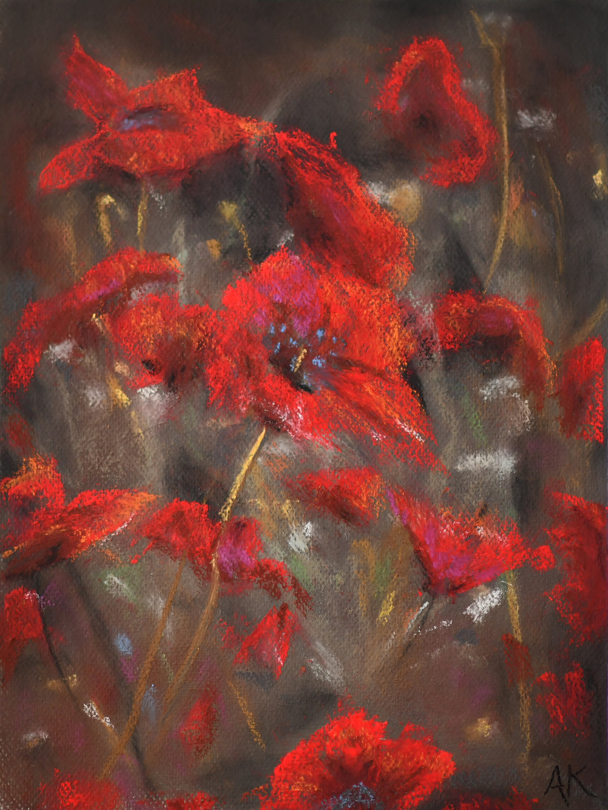 Red Poppies
