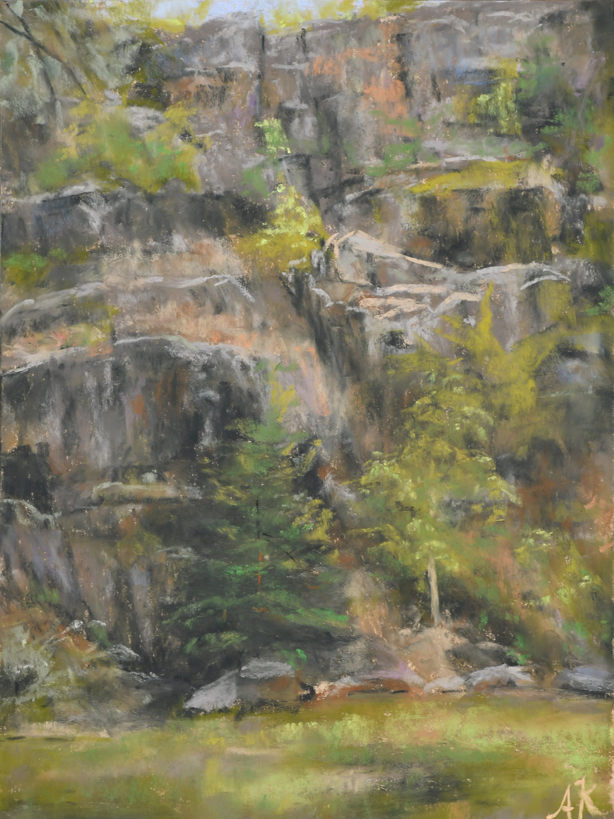 Cliffside in Vallecito