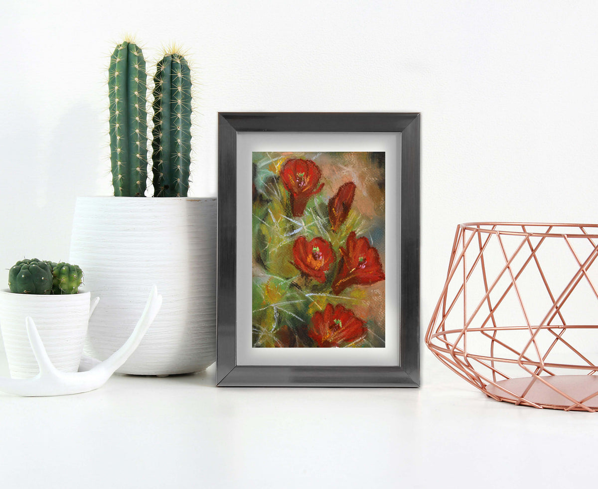 Coneflower Cactus
