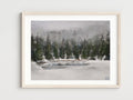 Winter Fog